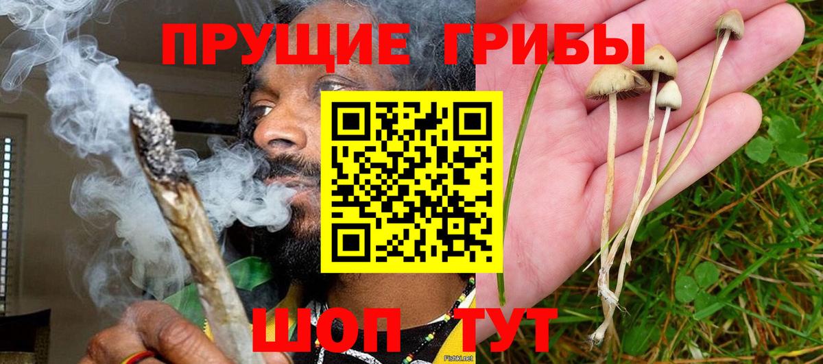 Галлюциногенные грибы мухоморы Крымск