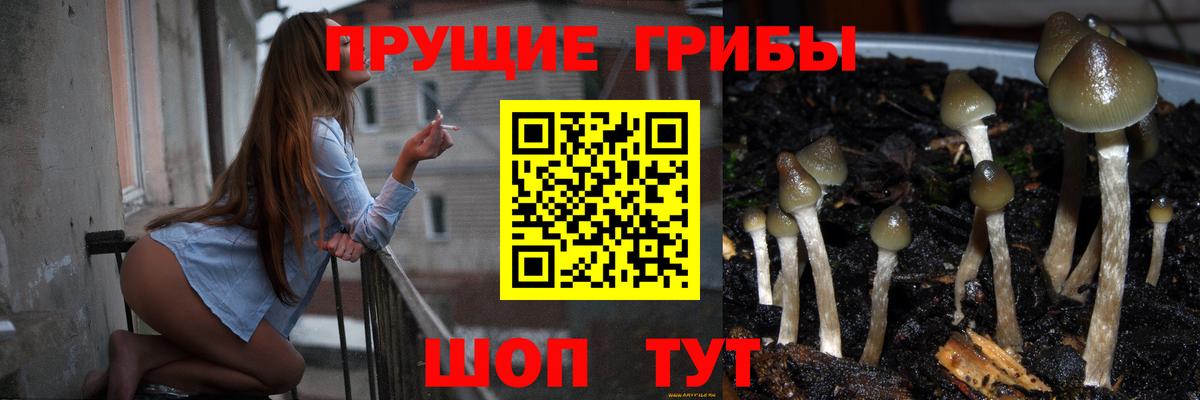 закладки  Вход с VPN  Галлюциногенные грибы Magic Shrooms  Крымск  Галлюциногенные грибы GOLDEN TEACHER 
